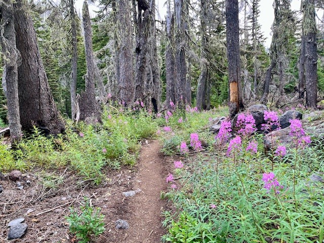 Jefferson Park