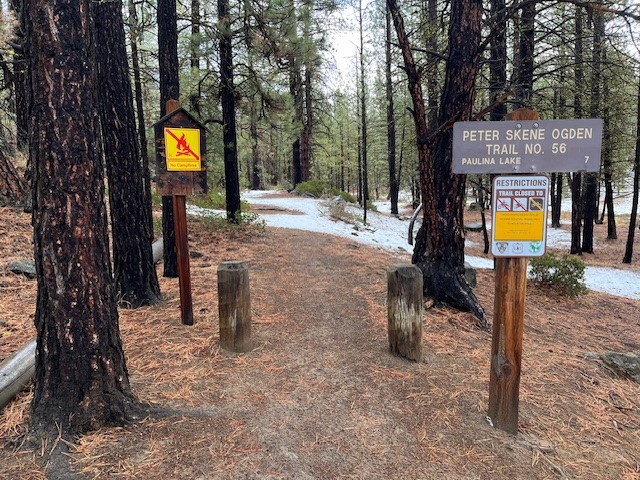 Paulina Falls